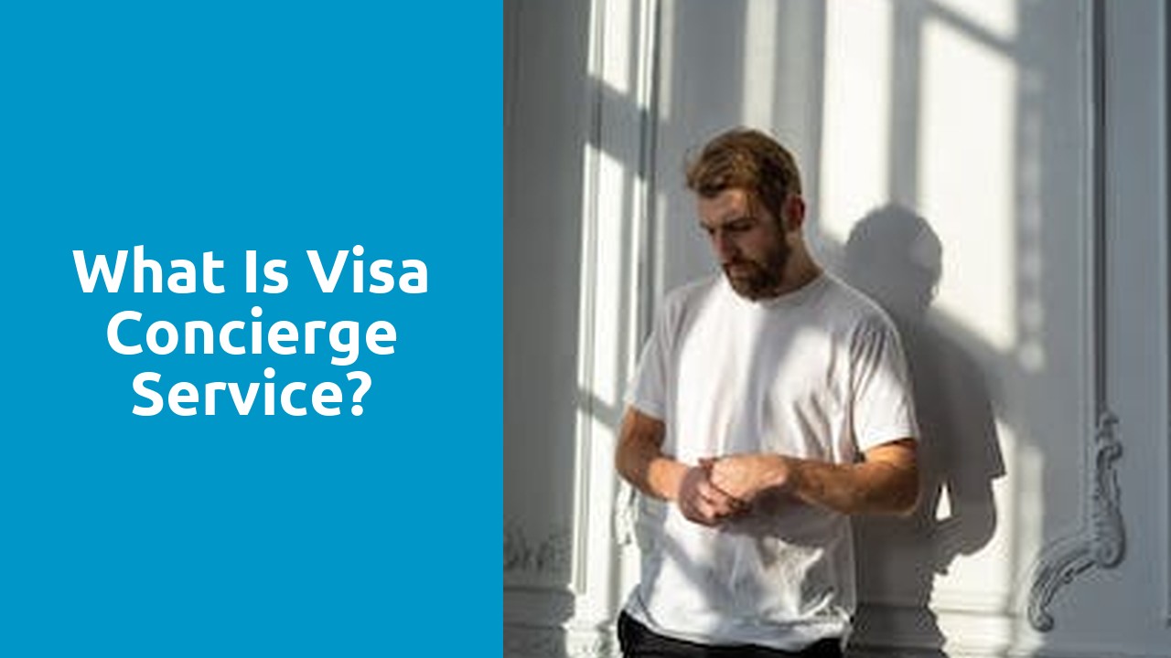 What is Visa concierge service?